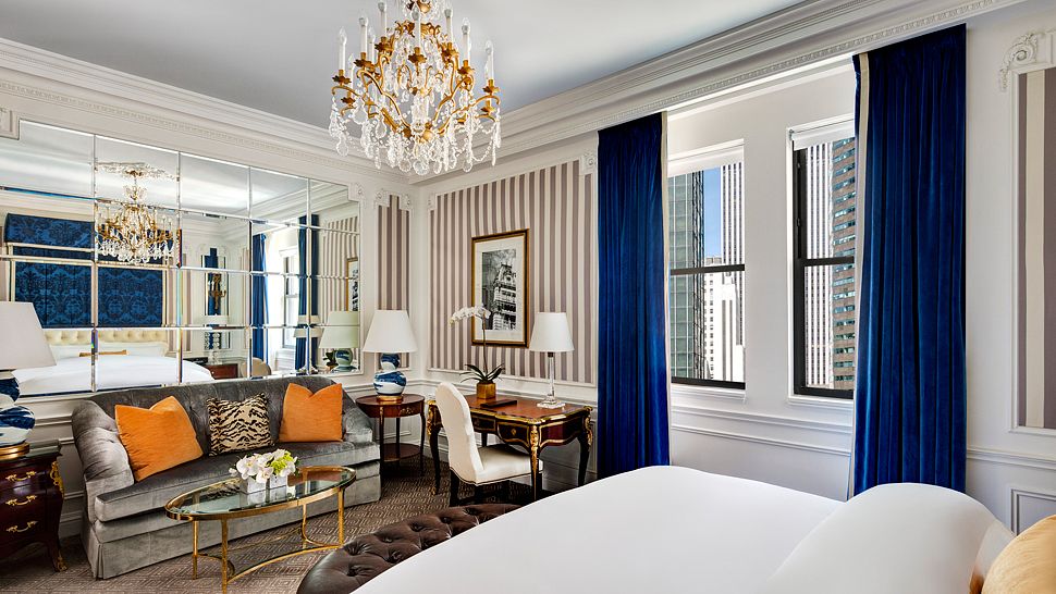hotel search jfkhotelsnew yorknew yorkpet friendlyunited statestravel hotel search jfkhotelsnew yorknew yorkpet friendlyunited statestravel
